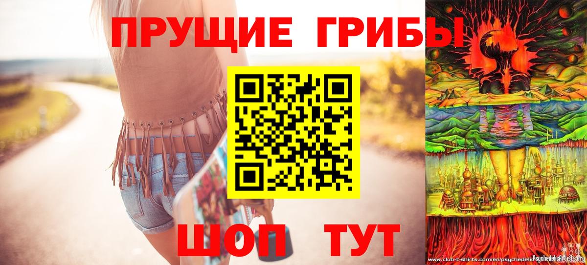 где найти наркотики  Псилоцибиновые грибы GOLDEN TEACHER  Вход с VPN  Лосино-Петровский 