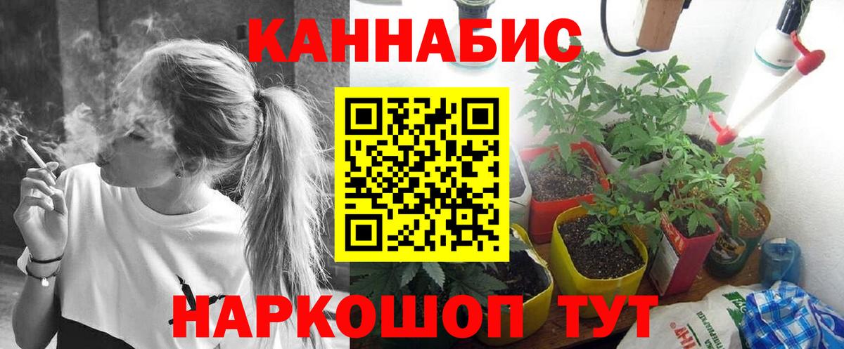 Каннабис индика Лосино-Петровский